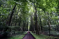 Zwerg-Anton-Tour: Wandern auf den Spuren von Märchen und Sagen. - © Benjamin Möller