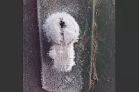 Winter - &copy; Leserfotos