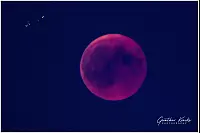 Blutmond &uuml;ber Lage Billinghausen - &copy; Gunther Kracke Photography