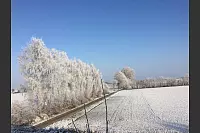 Winter - &copy; Leserfotos