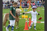 Shetlandponyturnier in Vahlhausen - © Daniela Cremer