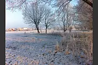 Winter - &copy; Leserfotos