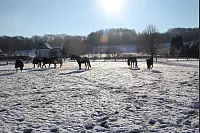 Winter - &copy; Leserfotos