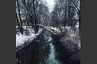 Winter - &copy; Leserfotos