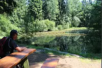 "NaturZeitReise" im Schwalenberger Wald. - © Silke Buhrmester