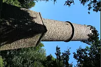 "NaturZeitReise" im Schwalenberger Wald. - © Silke Buhrmester