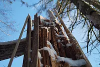 Winter - &copy; Leserfotos