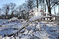 - &copy; Vera Gerstendorf-Welle