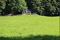 "NaturZeitReise" im Schwalenberger Wald. - © Silke Buhrmester