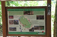 "NaturZeitReise" im Schwalenberger Wald. - © Silke Buhrmester