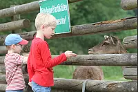 Das war die LZ-Sternwanderung 2018. - © Daniel Hobein
