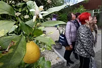 LZ-Leser besuchen die Detmolder Duftmanufaktur Taoasis. - &copy; Bernhard Preuss