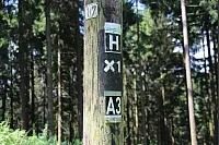 Wandern zum Lippischen Velmerstot und am Silberbach entlang. - © Janet König