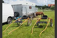 Shetlandponyturnier in Vahlhausen - © Daniela Cremer