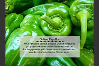 Diese Lebensmittel sind für Hunde giftig - © Kirsten Fuhrmann(LZ)