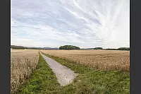 Familienwanderweg Hörste - © Torben Gocke