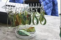 Beim Fest zum 50-jährigen Bestehen fällt der Rückblick auf die vergangenen Jahrzehnte positiv aus. - © Thomas Dohna