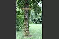 Von den Externsteinen zur Falkenburg. - © Freya Köhring