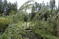 Von den Externsteinen zur Falkenburg. - © Freya Köhring