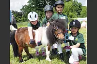 Shetlandponyturnier in Vahlhausen - © Daniela Cremer