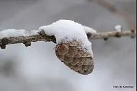 Winter - &copy; Leserfotos