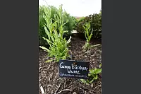 LZ-Leser besuchen die Detmolder Duftmanufaktur Taoasis. - &copy; Bernhard Preuss