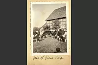 Piepkes K&uuml;he - &copy; Privat