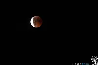 Blutmond &uuml;ber dem Staffpark in Lemgo - &copy; Nicole Frieburg und Matthias Riesenberg