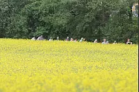 Das war die LZ-Sternwanderung 2018. - © Daniel Hobein