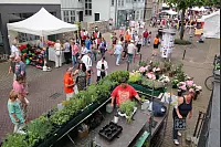 Hansetage, Foto Michelle Buller - © Michelle Buller