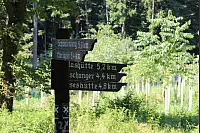 "NaturZeitReise" im Schwalenberger Wald. - © Silke Buhrmester