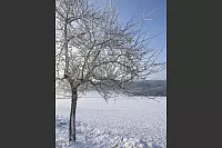 Winter - &copy; Leserfotos