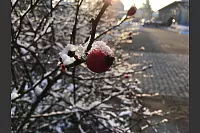 Winter - &copy; Leserfotos