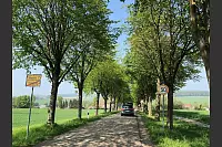 Ein bisschen buckelig: Der Zustand der Straße von Barntrup über Gut Wierborn bis Alverdissen ist für schmale Rennradreifen eine Herausforderung. - © Silke Buhrmester