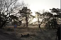 Auf dem Truppenübungsplatz in der Senne - © Vera Gerstendorf-Welle