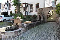 "NaturZeitReise" im Schwalenberger Wald. - © Silke Buhrmester