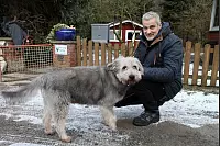 Wohnt gleich neben dem Campingplatz: Tierarzt Dr. Torsten Köhler mit Hund Paul. - © Bernhard Preuss