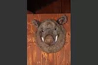 Lippe hautnah in Lieme - &copy; Heidi Stork