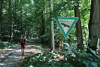 "NaturZeitReise" im Schwalenberger Wald. - © Silke Buhrmester