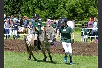 Shetlandponyturnier in Vahlhausen - © Daniela Cremer