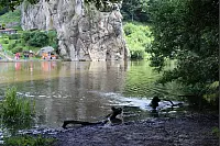 Von den Externsteinen zur Falkenburg. - © Freya Köhring