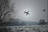 Winter - &copy; Leserfotos