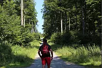"NaturZeitReise" im Schwalenberger Wald. - © Silke Buhrmester