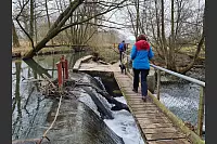 &Uuml;ber die tosende Bega f&uuml;hrt ein schmaler Steg - &copy; J&ouml;rg Sch&auml;fers