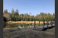 H&ouml;pperteich Kammmolchteich M&ouml;rth - &copy; Silke Buhrmester