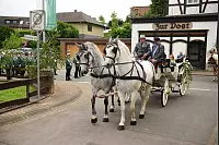 Schützenfest in Lothe - © Nicole Ellerbrake