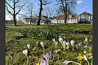 Eine Aufnahme aus dem Kurpark Bad Salzuflen. - © Britta Lindner-Kirchner