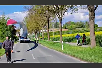 Weil der Selbstfahrer sich in der Mitte der Fahrbahn hält, bleiben die Straßenbäume unbehelligt. LZ-Redakteurin Silke Buhrmester begleitet den Transport mit dem Dienstrad (rechts). - © Marianne Schwarzer