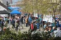 In Oerlinghausen war richtig was los. - © Karolina Schmidt