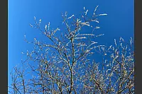 Eindrücke von einer Wanderung am Köterberg. - © Marie-Therese Hanneforth